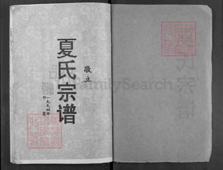 湖北省武汉市新洲区涨渡湖街道夏氏族谱-夏氏宗谱.pdf电子版预览图1