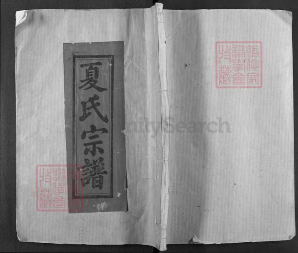 四川省凉山彜族自治州西昌市夏氏会稽堂族谱-夏氏宗谱.pdf电子版缩略图