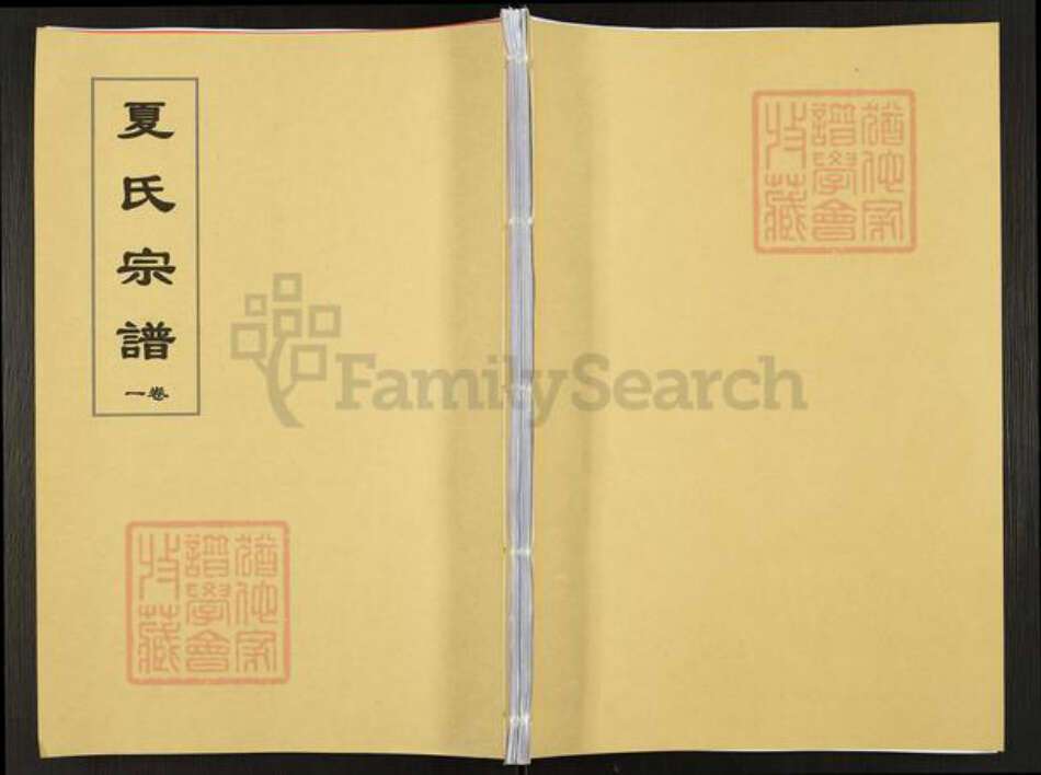安徽省合肥市肥东县撮镇夏氏尚忠堂族谱-夏氏宗谱.pdf电子版缩略图