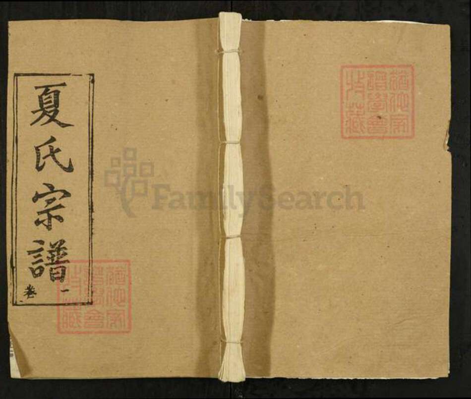 湖北省武汉市新洲区夏氏敦本堂族谱-夏氏宗谱.pdf电子版缩略图