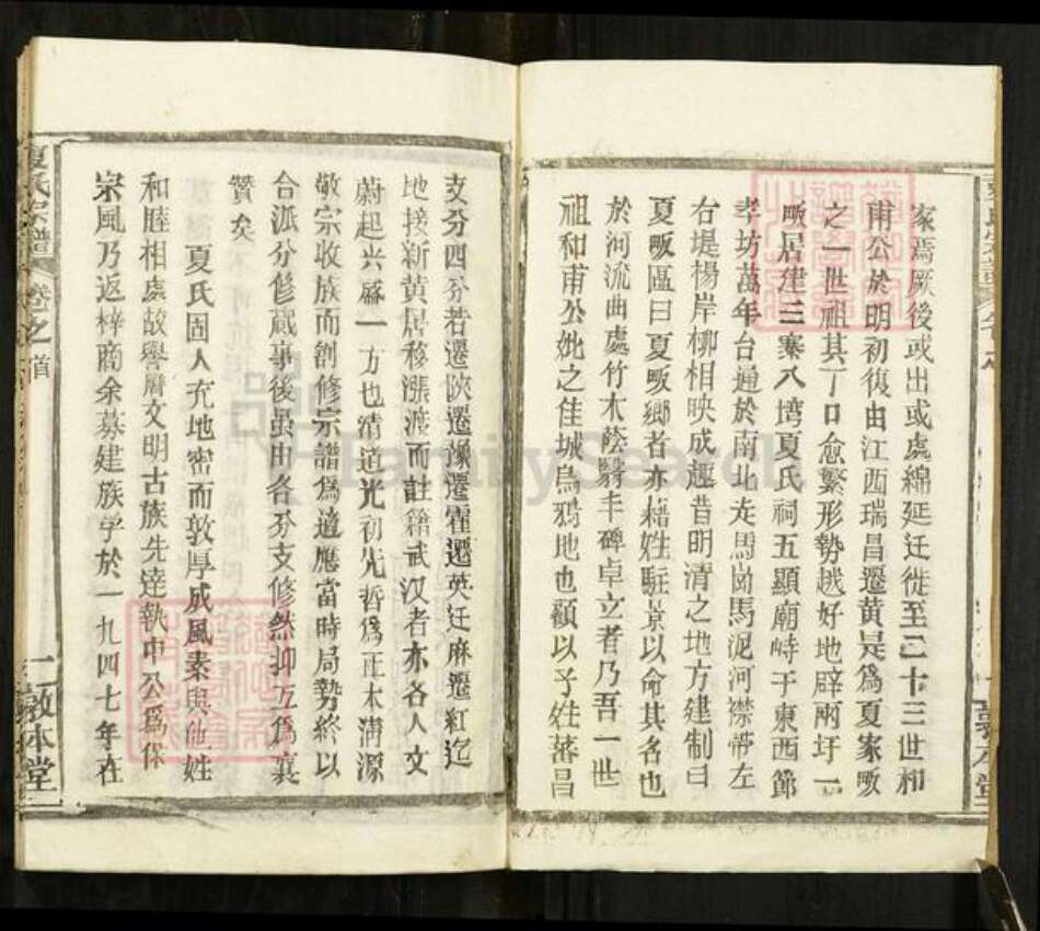 湖北省武汉市新洲区夏氏敦本堂族谱-夏氏宗谱.pdf电子版预览图2