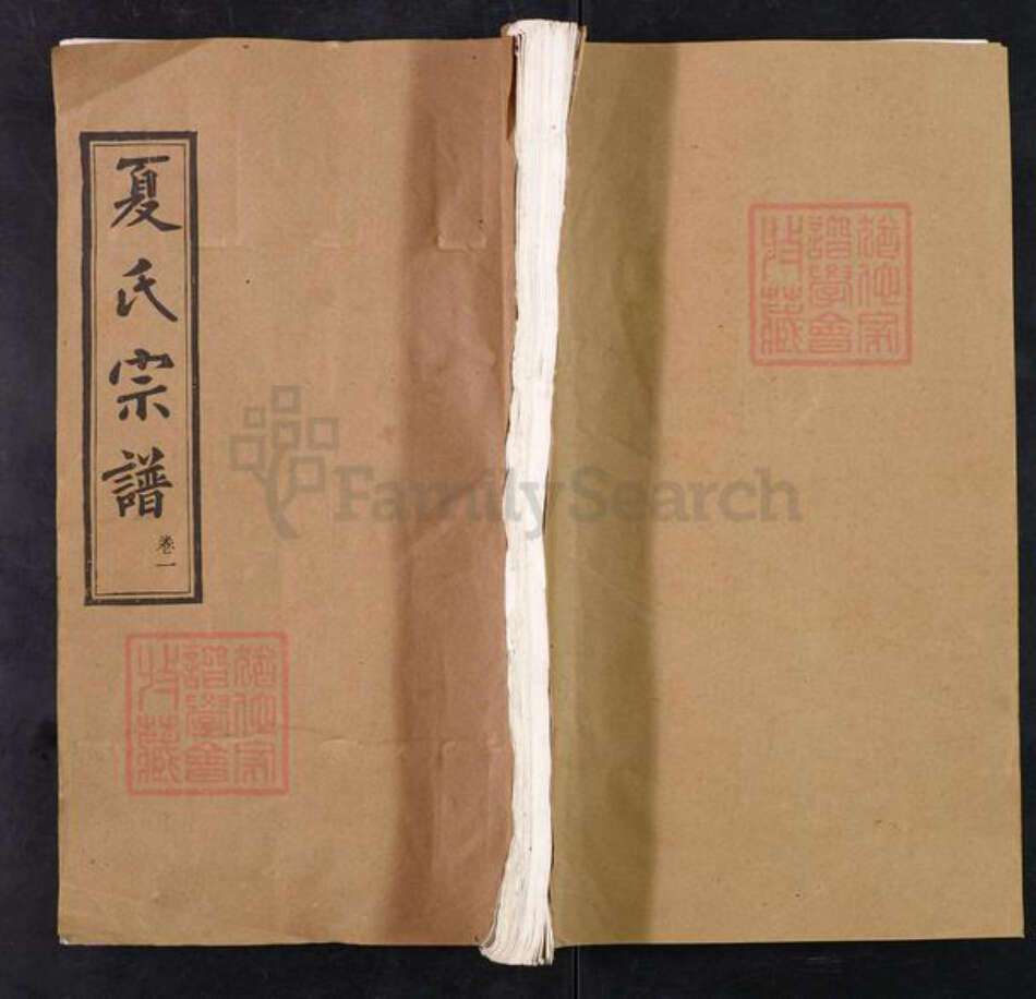 湖北省黄冈市团风县淋山河镇夏氏崇伦堂族谱-夏氏宗谱.pdf电子版缩略图