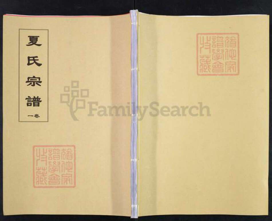 安徽省合肥市肥东县夏氏尚忠堂族谱-夏氏宗谱.pdf电子版缩略图