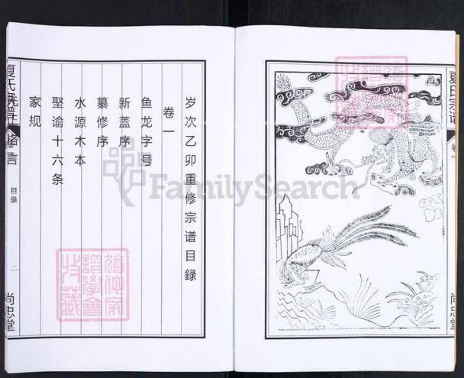 安徽省合肥市肥东县夏氏尚忠堂族谱-夏氏宗谱.pdf电子版预览图4