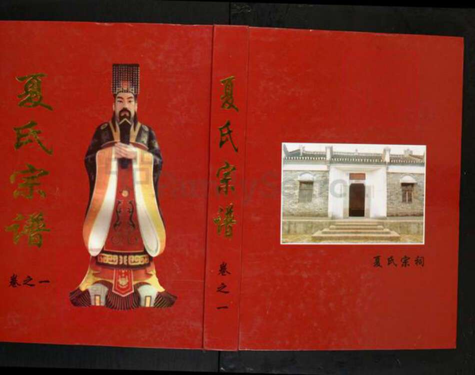 湖北省武汉市新洲区夏氏族谱-夏氏宗谱.pdf电子版缩略图