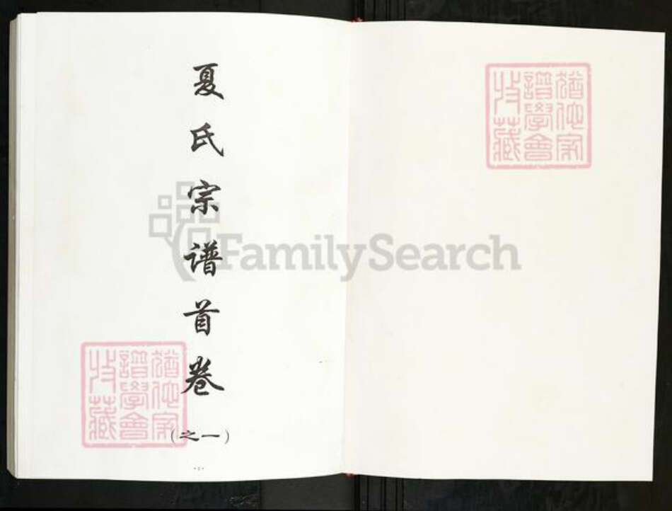 湖北省武汉市新洲区夏氏族谱-夏氏宗谱.pdf电子版预览图1