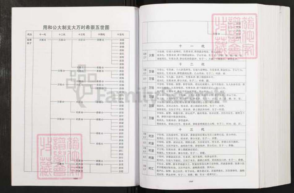 湖南省夏氏会稽堂族谱-湖南夏氏子章公系十一修族谱.pdf电子版预览图5