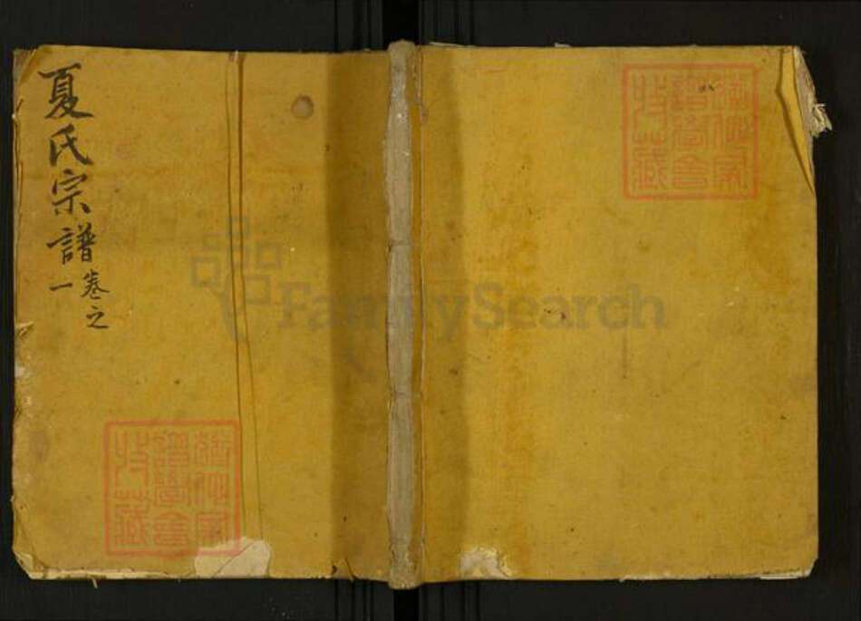 安徽省马鞍山市当涂县夏氏族谱-夏氏宗谱.pdf电子版缩略图