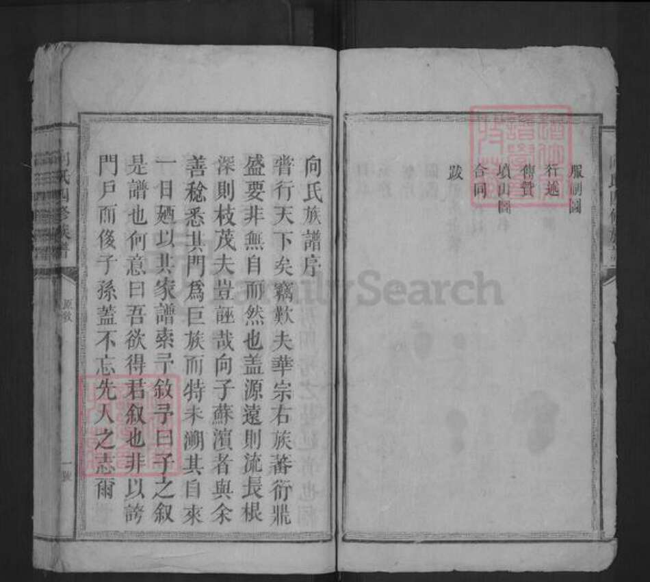 湖南省怀化市溆浦县向氏族谱-向氏四修族谱.pdf电子版预览图2