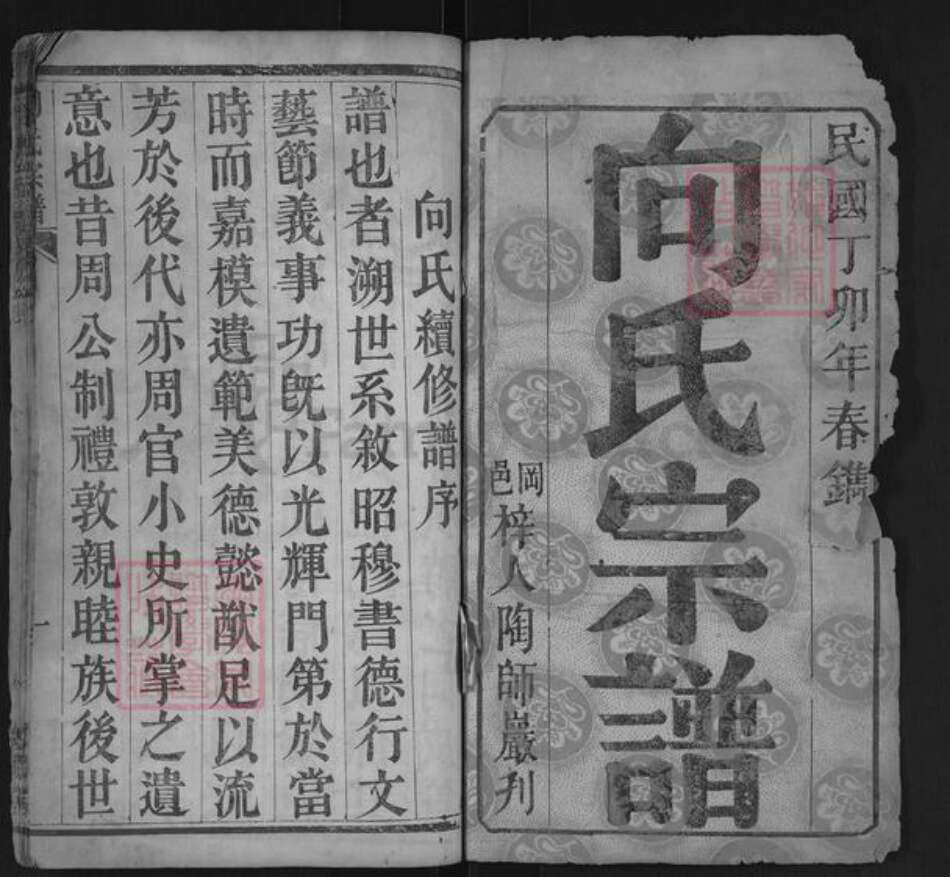 湖北省武汉市黄陂区王家河街道向氏奕叶堂族谱-向氏宗谱.pdf电子版预览图1