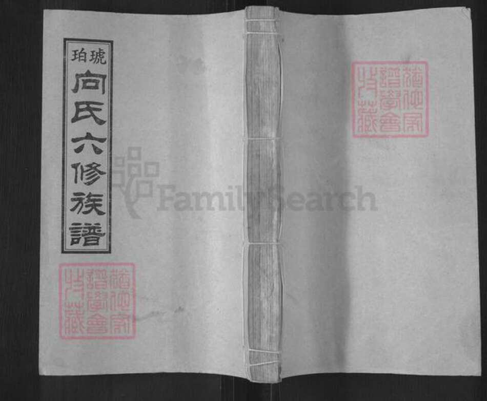 湖南省娄底市双峰县向氏琥珀堂族谱-琥珀向氏六修族谱.pdf电子版缩略图