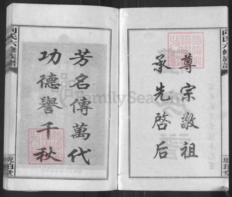 湖南省娄底市双峰县向氏琥珀堂族谱-琥珀向氏六修族谱.pdf电子版预览图2