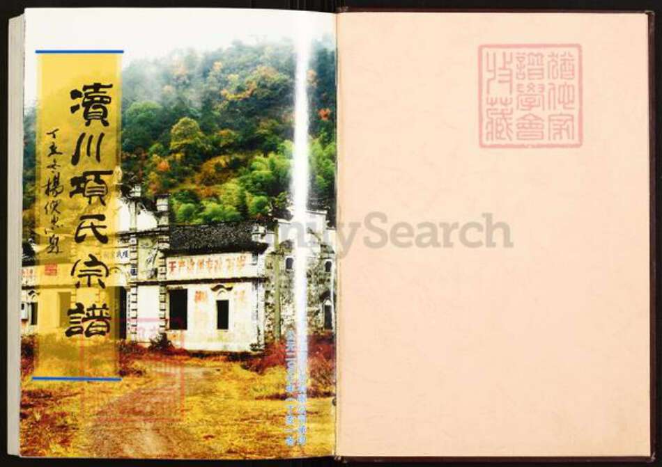 浙江省金华市武义县项氏族谱-渎川项氏宗谱.pdf电子版预览图1