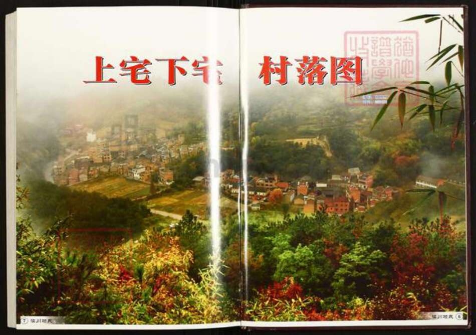 浙江省金华市武义县项氏族谱-渎川项氏宗谱.pdf电子版预览图4