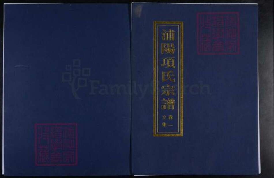 浙江省杭州市萧山区萧山项氏族谱-浦阳项氏宗谱.pdf电子版缩略图