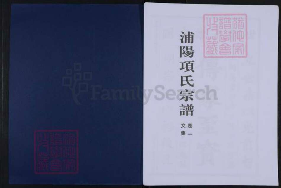 浙江省杭州市萧山区萧山项氏族谱-浦阳项氏宗谱.pdf电子版预览图1