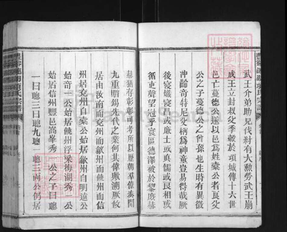 江西省上饶市广丰区项氏族谱-丰谿涟湖项氏宗谱.pdf电子版预览图2