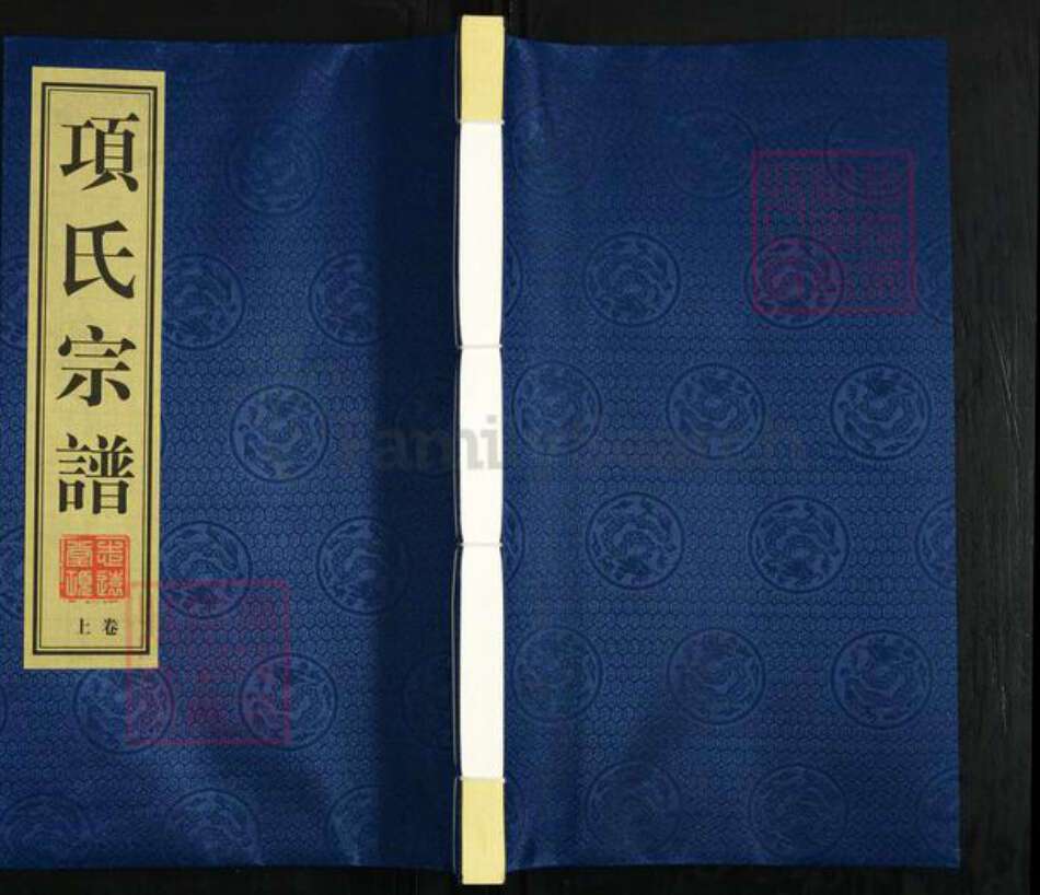 江苏省镇江市丹阳市导墅镇项氏志远堂族谱-项氏宗谱.pdf电子版缩略图