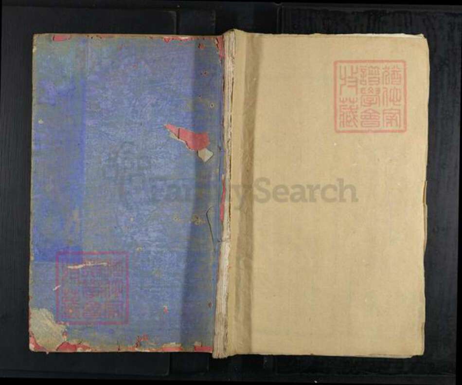 江西省上饶市广丰区项氏族谱-丰谿前洋项氏族谱.pdf电子版缩略图