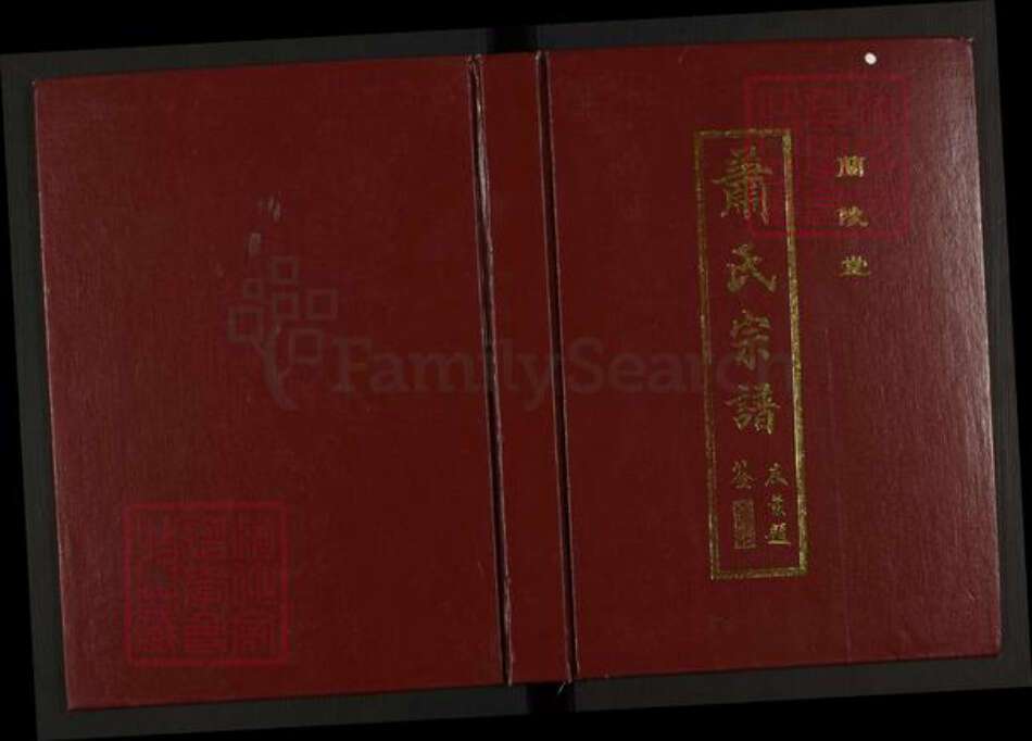 江苏省盐城市滨海县大套乡萧氏兰陵堂族谱-萧氏宗谱.pdf电子版缩略图