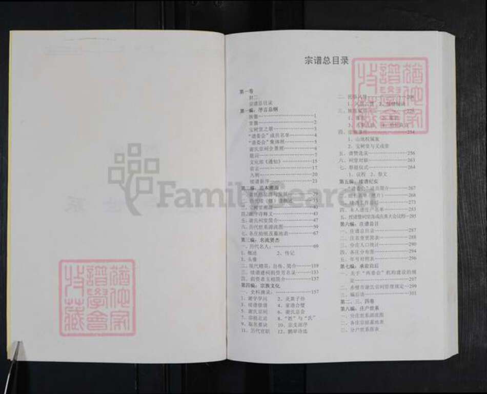 湖北省咸宁市谢氏宝树堂族谱-谢氏宗谱.pdf电子版预览图2