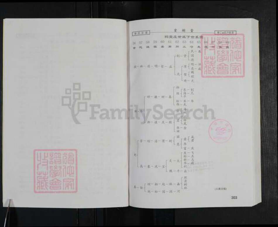 湖北省咸宁市谢氏宝树堂族谱-谢氏宗谱.pdf电子版预览图4