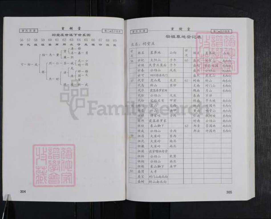 湖北省咸宁市谢氏宝树堂族谱-谢氏宗谱.pdf电子版预览图5
