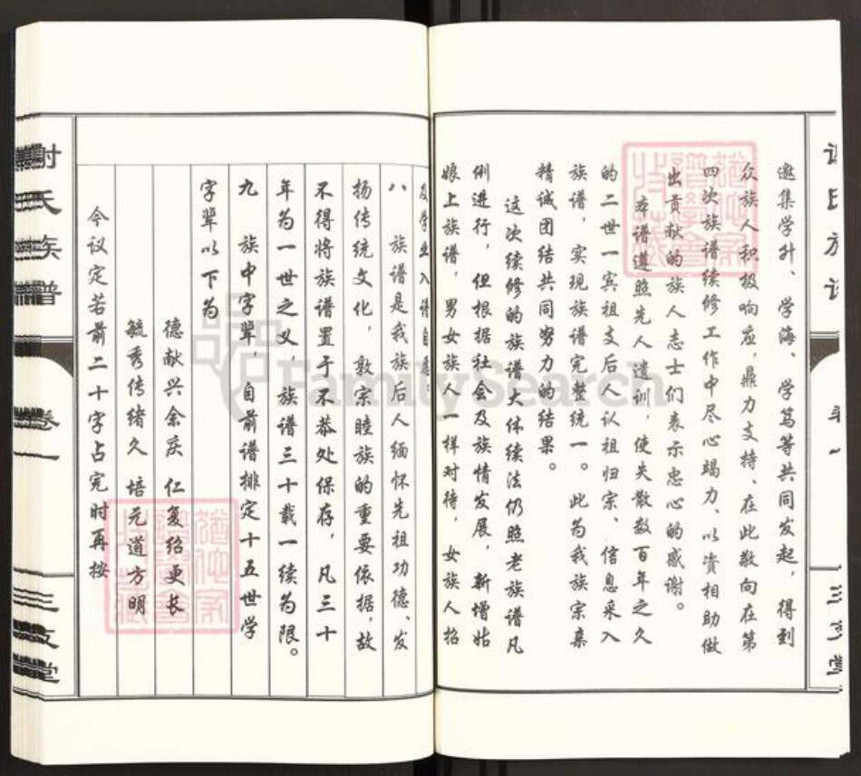 山东省泰安市东平县谢氏三支堂族谱-东原谢氏族谱.pdf电子版预览图4