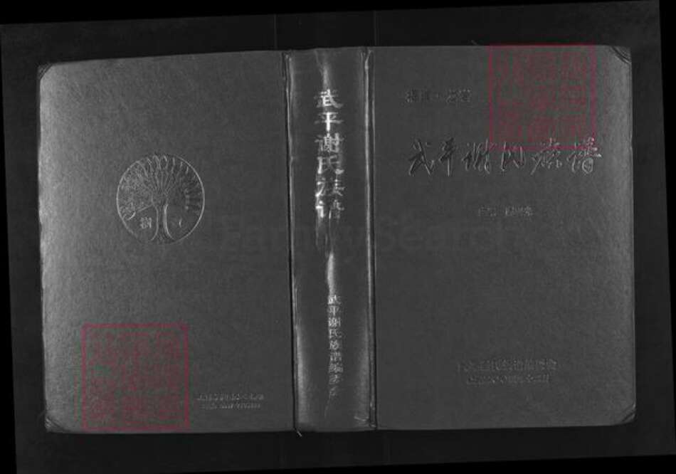 福建省龙岩市武平县城厢乡谢氏宝树堂族谱-武平谢氏族谱.pdf电子版缩略图