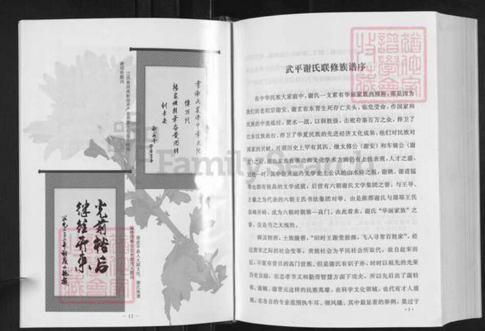 福建省龙岩市武平县城厢乡谢氏宝树堂族谱-武平谢氏族谱.pdf电子版预览图2
