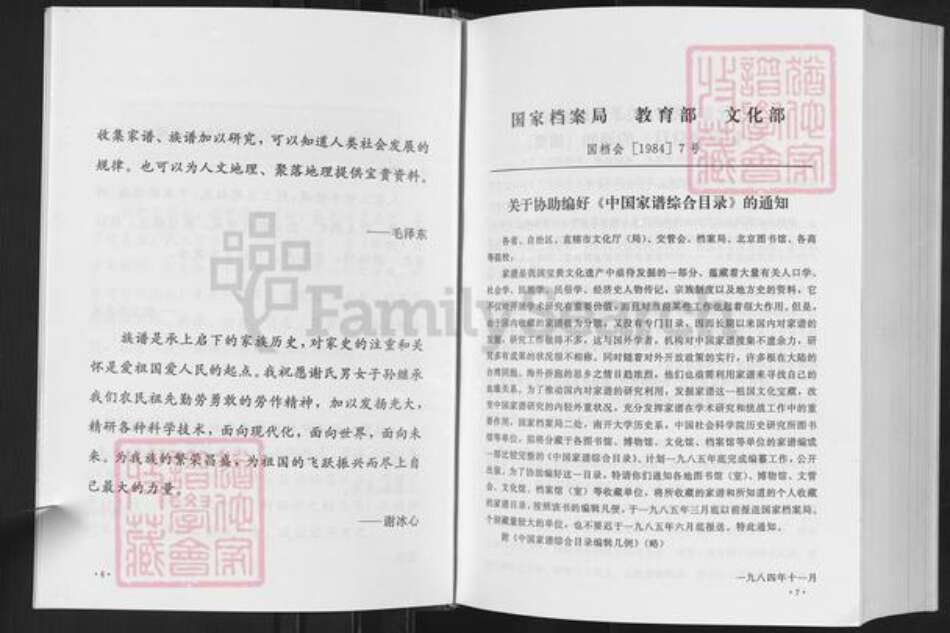 福建省龙岩市武平县城厢乡谢氏宝树堂族谱-武平谢氏族谱.pdf电子版预览图5