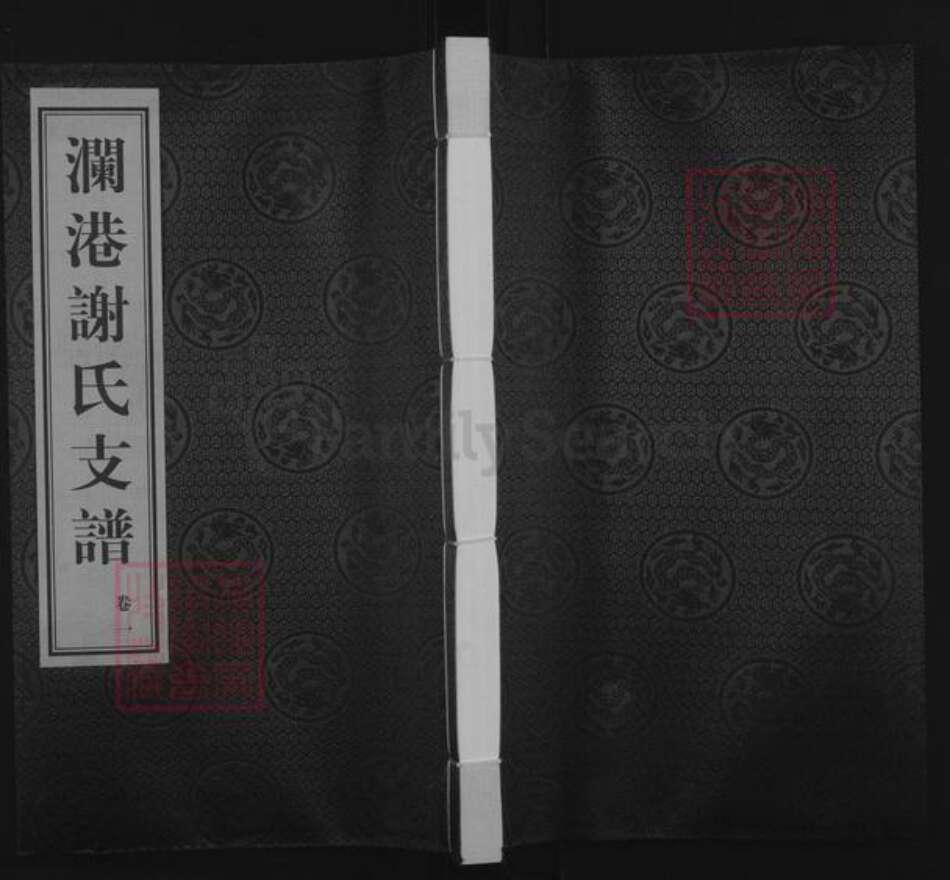 江苏省无锡市惠山区长安街道谢氏宝树堂族谱-澜港谢氏支谱.pdf电子版缩略图