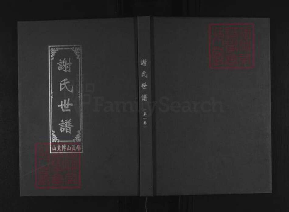 山东省淄博市博山区谢氏族谱-谢氏世谱.pdf电子版缩略图