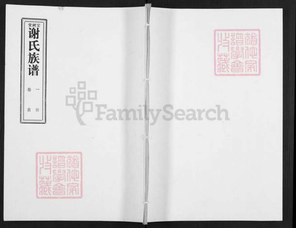 山东省枣庄市滕州市滨湖镇谢氏宝树堂族谱-谢氏族谱.pdf电子版缩略图