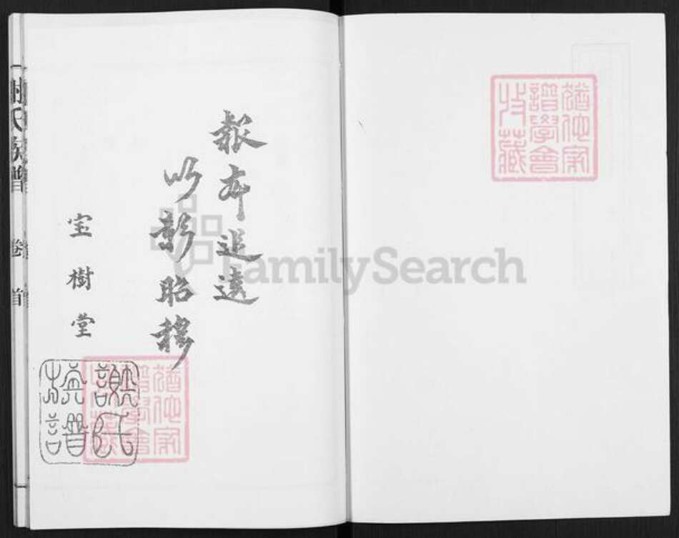 山东省枣庄市滕州市滨湖镇谢氏宝树堂族谱-谢氏族谱.pdf电子版预览图1