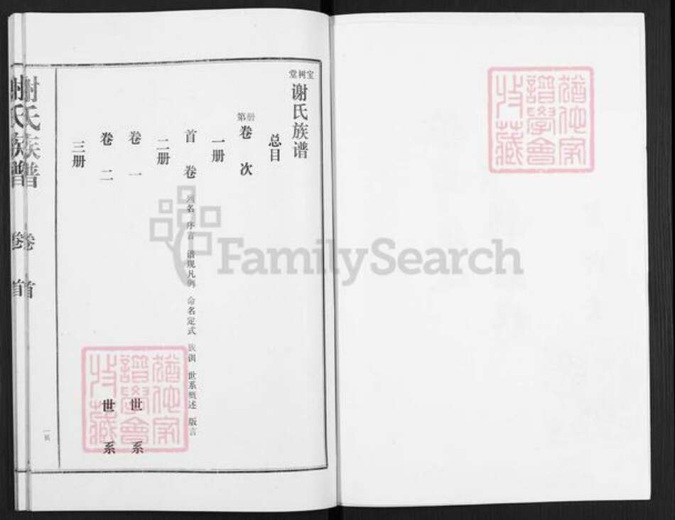 山东省枣庄市滕州市滨湖镇谢氏宝树堂族谱-谢氏族谱.pdf电子版预览图2