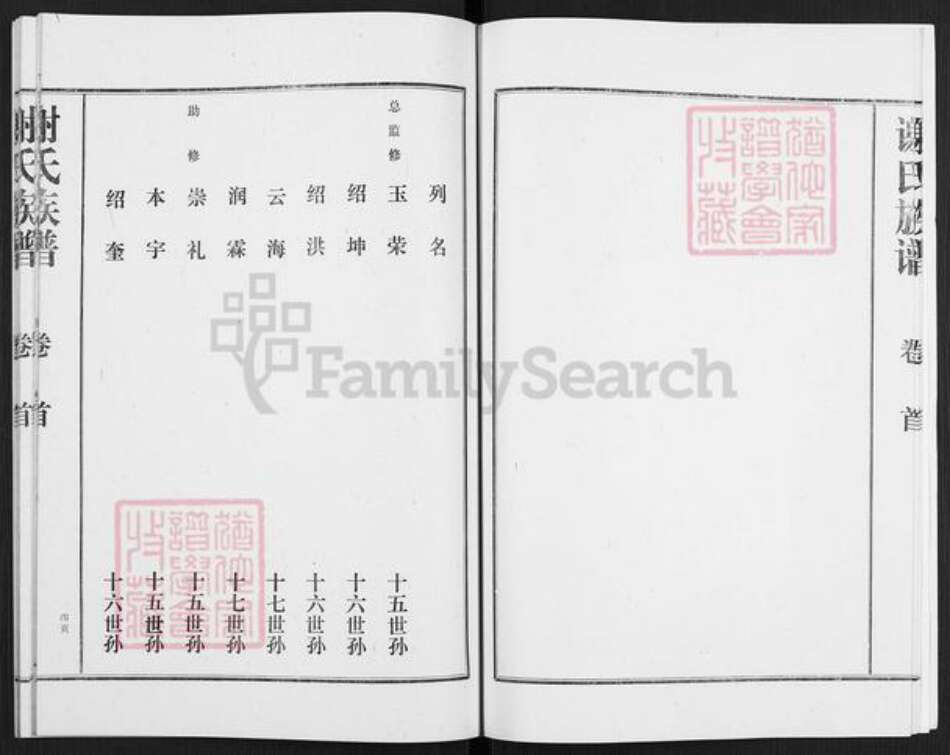 山东省枣庄市滕州市滨湖镇谢氏宝树堂族谱-谢氏族谱.pdf电子版预览图5