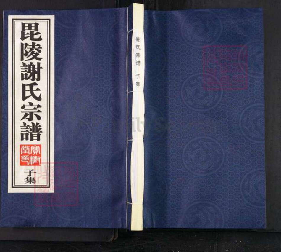 江苏省常州市新北区罗溪镇谢氏宝树堂族谱-毘陵谢氏宗谱.pdf电子版缩略图