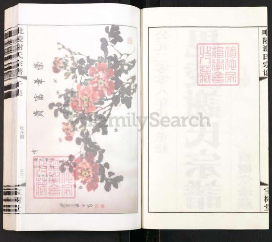 江苏省常州市新北区罗溪镇谢氏宝树堂族谱-毘陵谢氏宗谱.pdf电子版预览图2