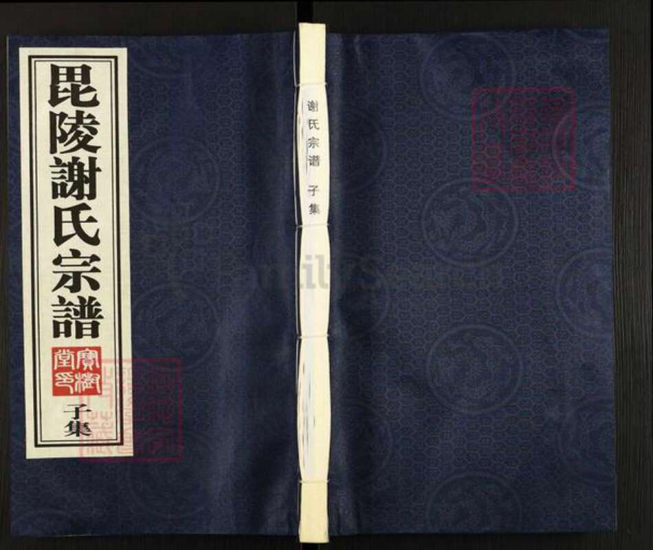 江苏省常州市谢氏宝树堂族谱-毗陵谢氏宗谱.pdf电子版缩略图