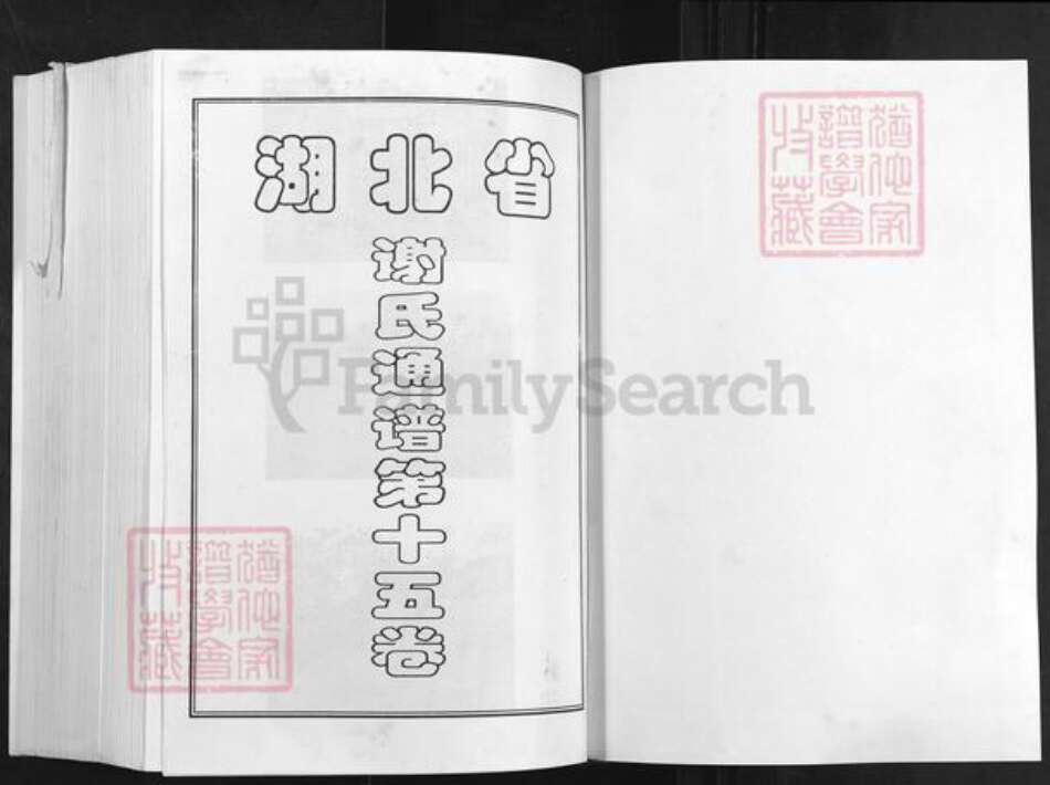 湖北省黄冈市红安县谢氏宝树堂族谱-谢氏宗谱.pdf电子版预览图1