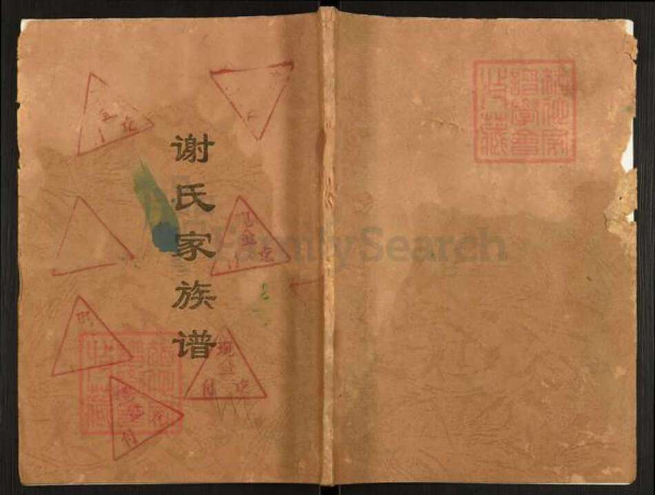 重庆市开州区谢氏族谱-谢氏家族谱.pdf电子版缩略图