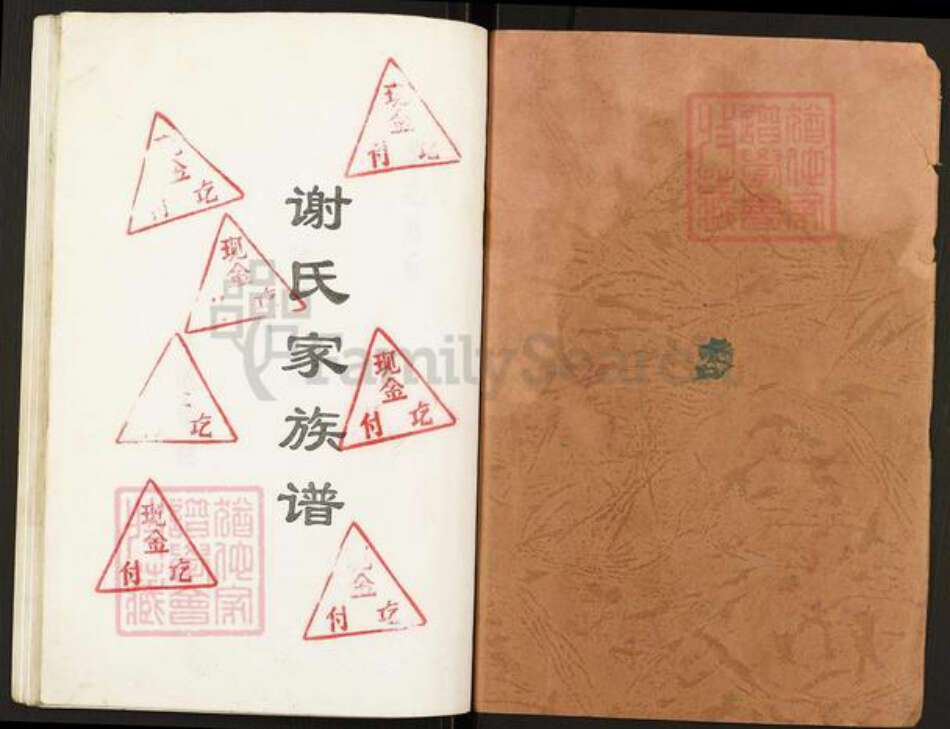 重庆市开州区谢氏族谱-谢氏家族谱.pdf电子版预览图1