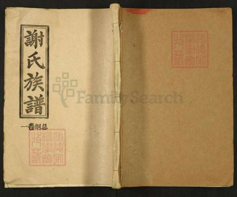 江西省吉安市安福县平都镇谢氏宝树堂族谱-谢氏族谱.pdf电子版缩略图