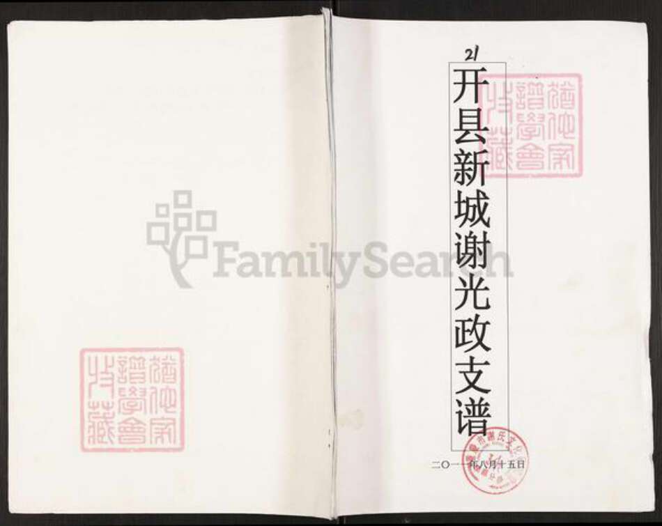 重庆市开州区谢氏族谱-开县新城谢光政支谱.pdf电子版缩略图