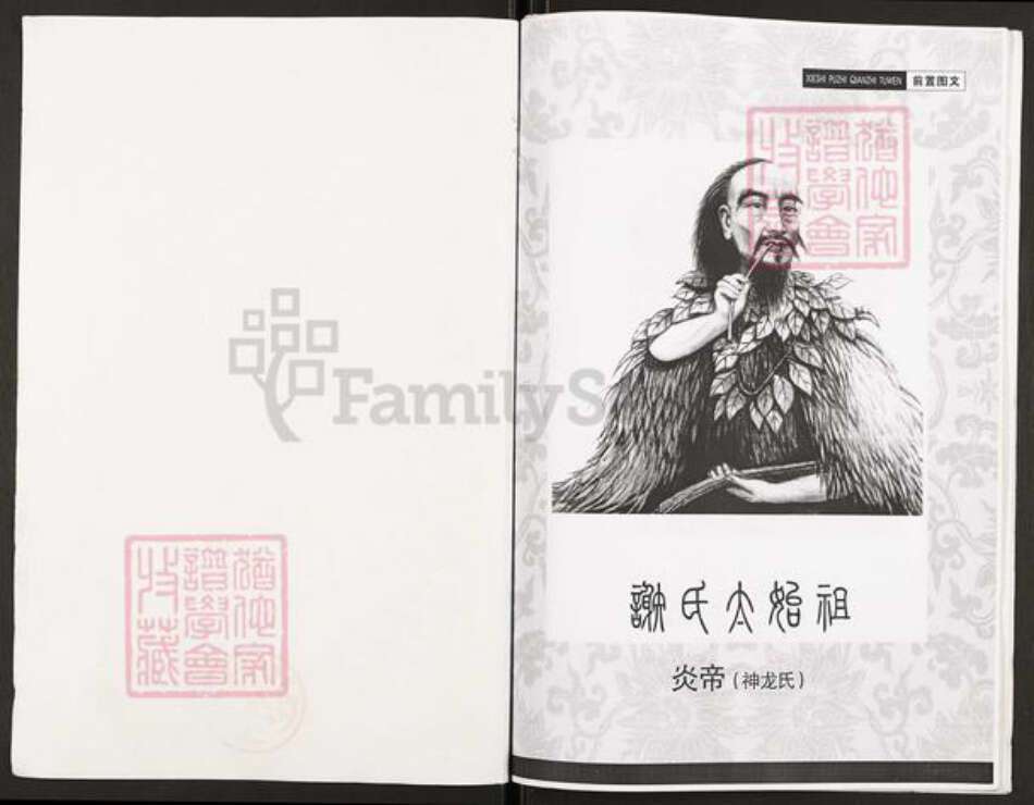 重庆市开州区谢氏族谱-开县新城谢光政支谱.pdf电子版预览图1