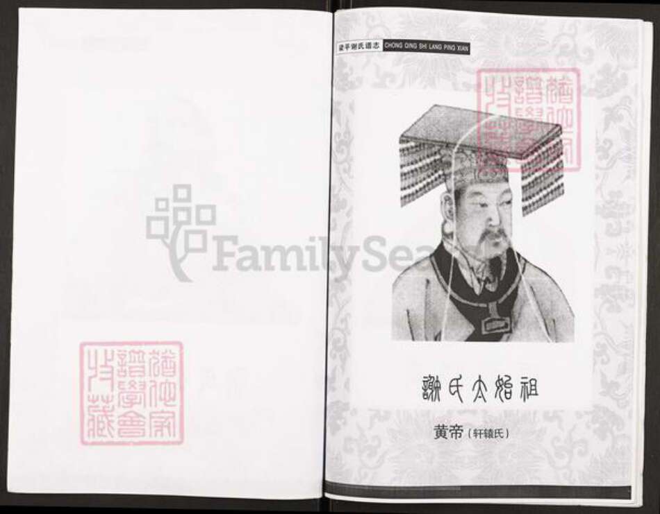 重庆市开州区谢氏族谱-开县新城谢光政支谱.pdf电子版预览图2