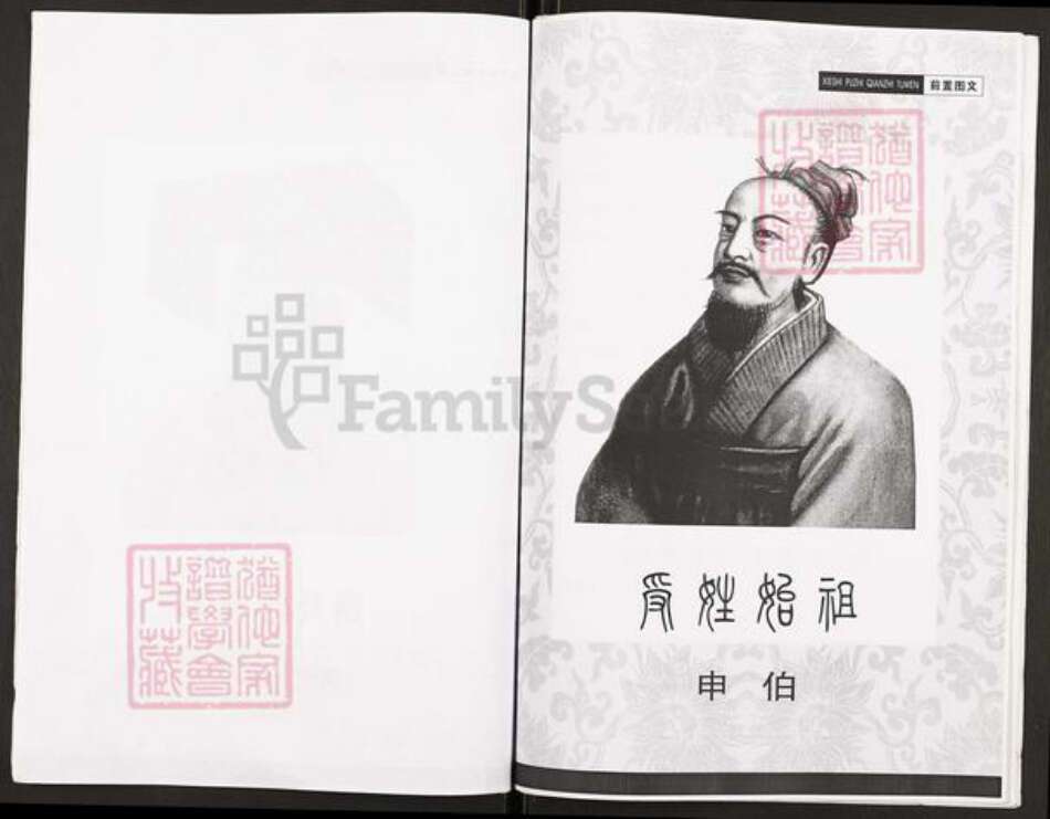 重庆市开州区谢氏族谱-开县新城谢光政支谱.pdf电子版预览图3