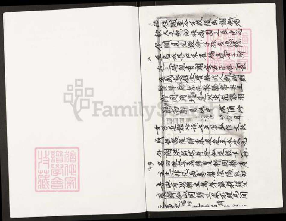 重庆市开州区谢氏族谱-谢氏族谱.pdf电子版预览图4