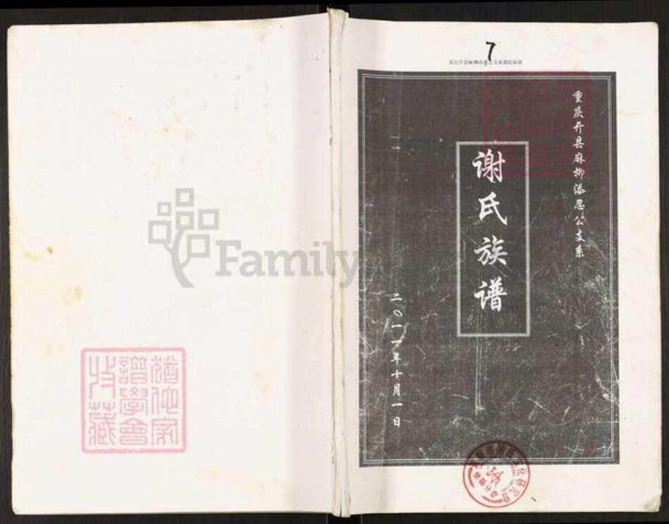 重庆市开州区谢氏族谱-谢氏族谱.重庆开县麻柳添忍公支系.pdf电子版缩略图